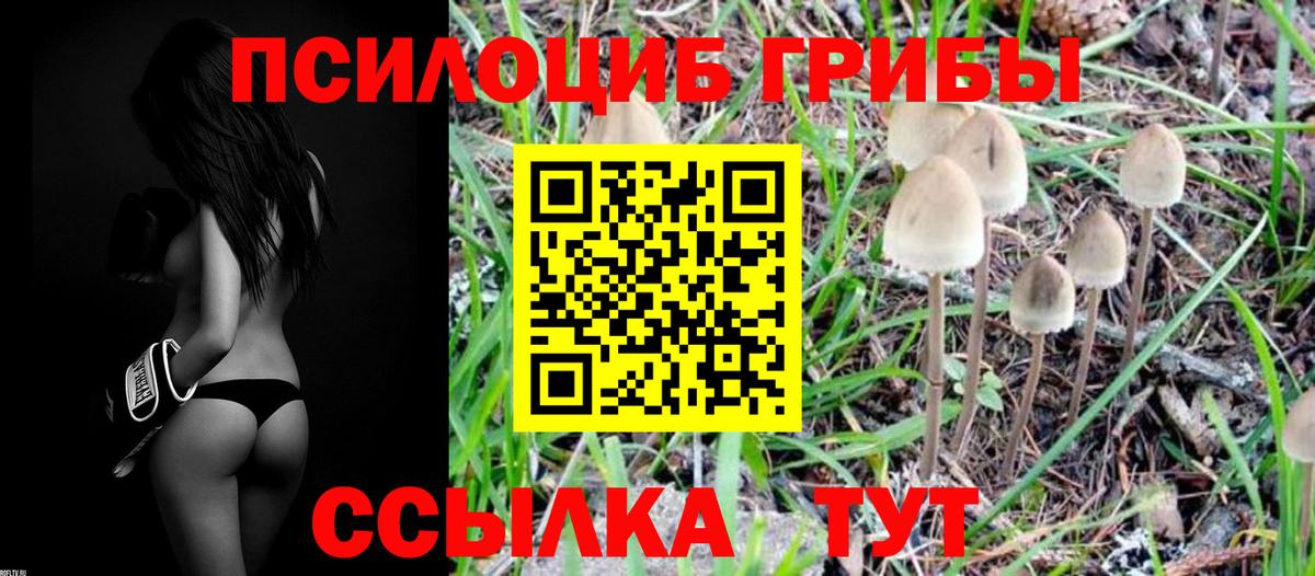 Галлюциногенные грибы мухоморы Богородицк
