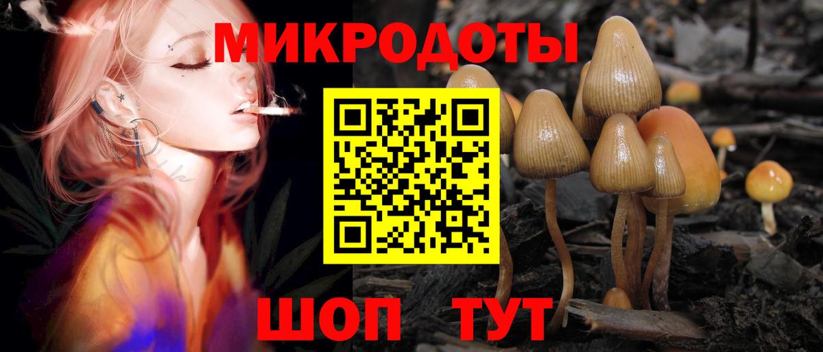 Богородицк  Галлюциногенные грибы GOLDEN TEACHER  Вход с VPN 